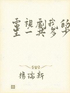 电视剧我的后半生一共多少集