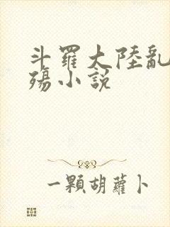 斗罗大陆乱世浮殇小说