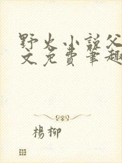 野火小说父女全文免费笔趣阁