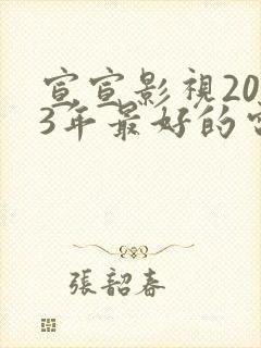 宣宣影视2023年最好的电视剧