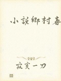 小说乡村春光封面