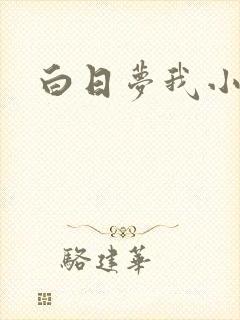 白日梦我小说