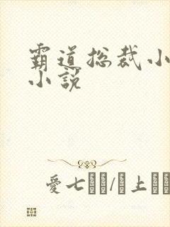 霸道总裁小娇妻小说