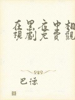 在黑夜中相拥电视剧免费观看封面