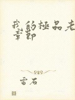 我的极品老婆新章节封面