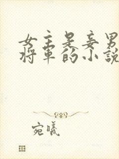 女主是妾男主是将军的小说