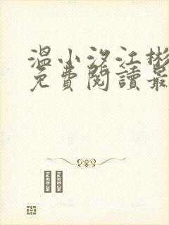 温小汐江彬小说免费阅读最新