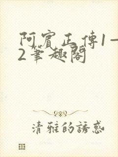 阿宾正传1—72笔趣阁