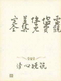 完美伴侣电视剧全集免费观看西瓜