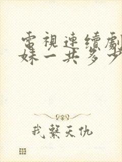 电视连续剧六姊妹一共多少集封面