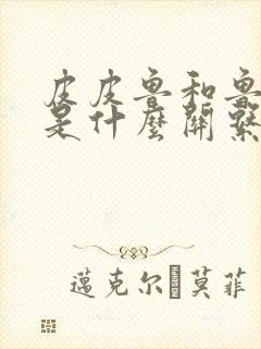 皮皮鲁和鲁西西是什么关系封面