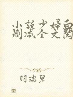 小说少妇白洁无删减全文阅读