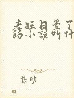 老旺日晕了秦雨的小说叫什么封面