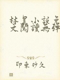 林昊小说免费全文阅读无弹窗封面