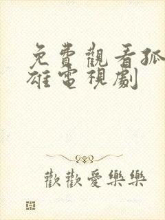 免费观看孤军英雄电视剧