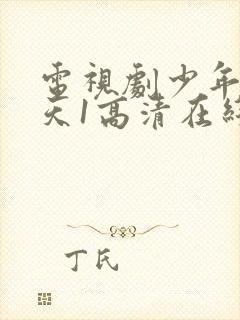 电视剧少年包青天1高清在线观看封面