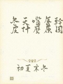 冬天嘴唇干裂起皮什么原因造成的