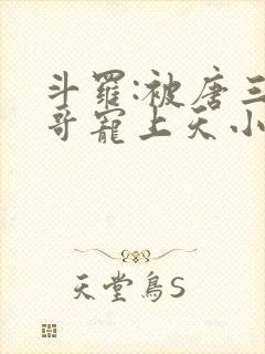 斗罗:被唐三哥哥宠上天小说读