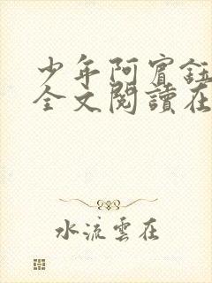 少年阿宾钰慧篇全文阅读在线封面