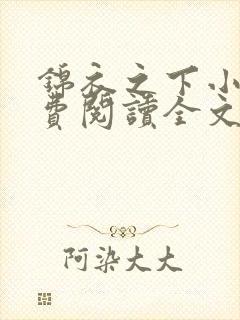 锦衣之下小说免费阅读全文无删减封面