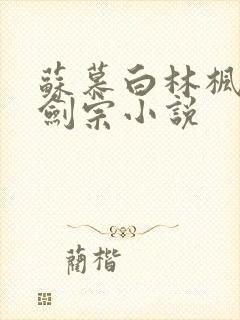 苏慕白林枫神霄剑宗小说