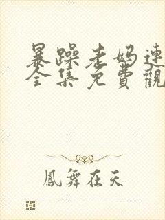 暴躁老妈连续剧全集免费观看