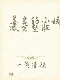 善良的小姨无删减完整版