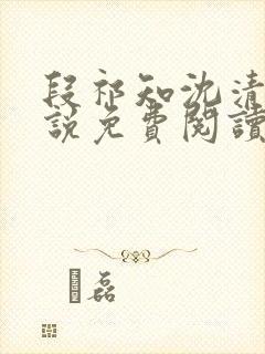 段祁知沈清鸢小说免费阅读最新章节