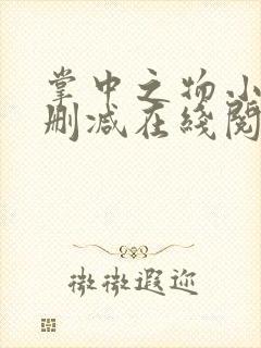 掌中之物小说无删减在线阅读