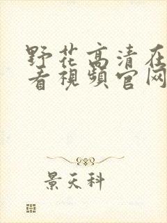 野花高清在线观看视频官网免费