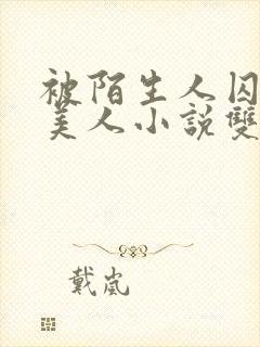 被陌生人囚禁的美人小说双男主
