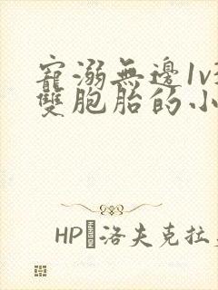 宠溺无边1v3双胞胎的小说