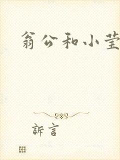 翁公和小莹封面