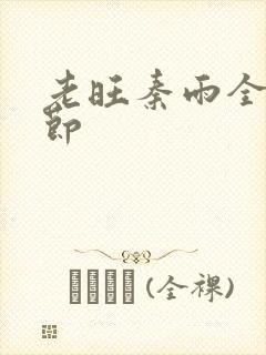 老旺秦雨全部章节