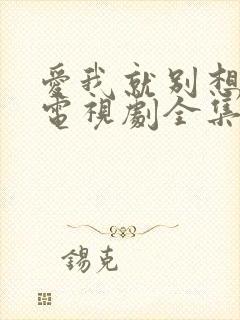 爱我就别想太多电视剧全集免费观看封面