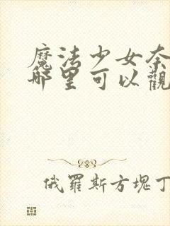 魔法少女奈叶在哪里可以观看封面