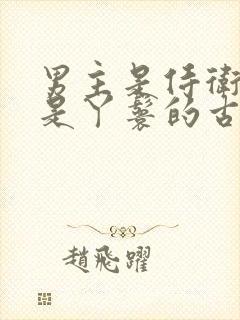 男主是侍卫女主是丫鬟的古言封面