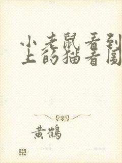 小老鼠看到电脑上的猫看图写话