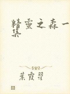 精灵之森一到四集