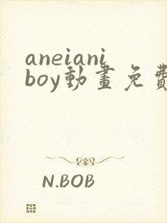 aneianiboy动画免费观看
