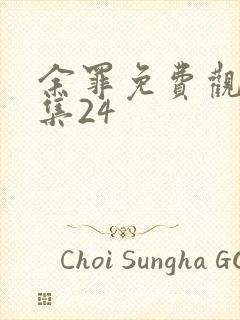 余罪免费观看全集24