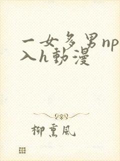 一女多男np慎入h动漫