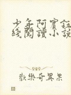 少年阿宾钰慧在线阅读小说txt