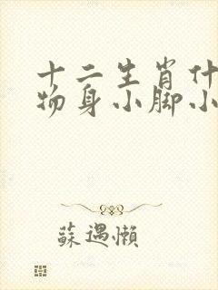 十二生肖什么动物身小脚小