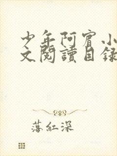 少年阿宾小说全文阅读目录