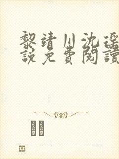 黎靖川沈瑶初小说免费阅读最新章节