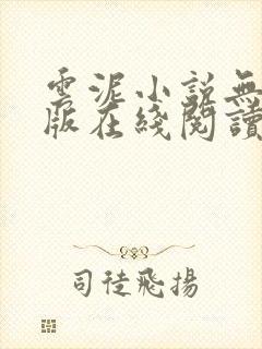 云泥小说无删减版在线阅读封面