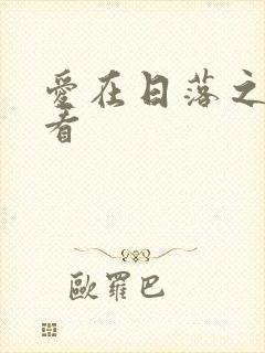 爱在日落之前收看