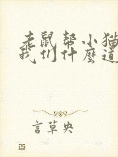 老鼠帮小猫告诉我们什么道理