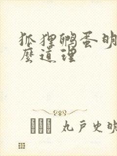 狐狸孵蛋明白什么道理